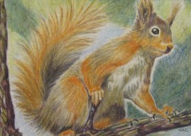 red squirrel painting
