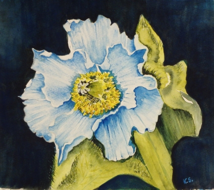 Flower painting
