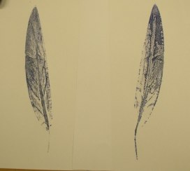 Two feather prints