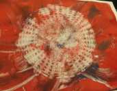 abstract red print from a doily